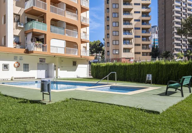 Apartamento en Benidorm -  Don Paco 12-B Deluxe Apartment Levante Beach Apartamento en Benidorm -  Don Paco 12-B Deluxe Apartment Levante Beach