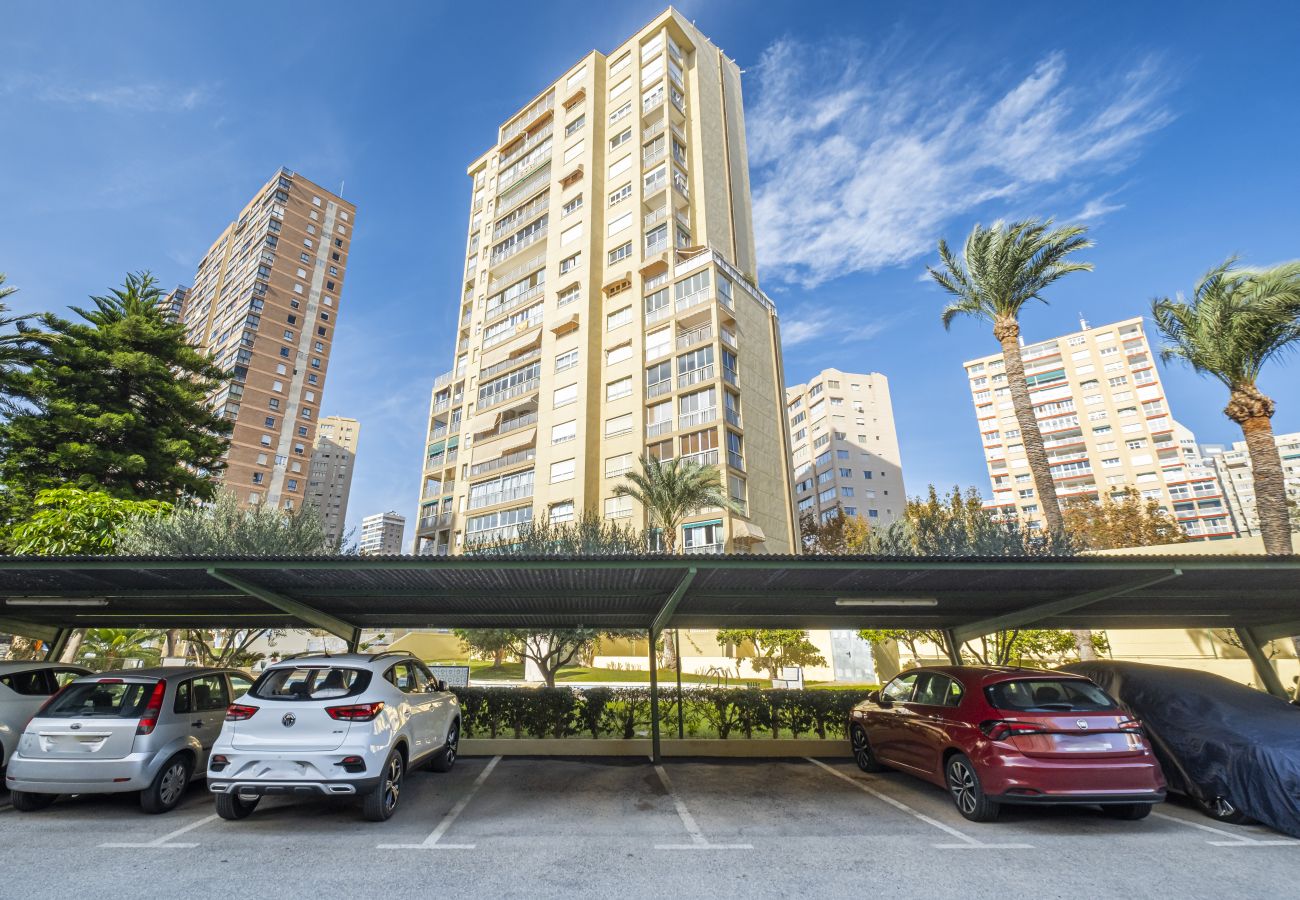 Apartamento en Benidorm - Alteanos 16-2 Apartment Levante Beach Apartamento en Benidorm - Alteanos 16-2 Apartment Levante Beach