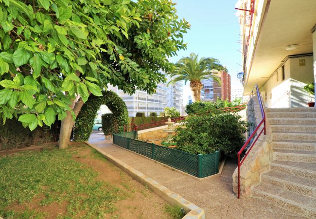 Apartamento en Benidorm - Piscis 12-1 Apartamento en Benidorm - Piscis 12-1