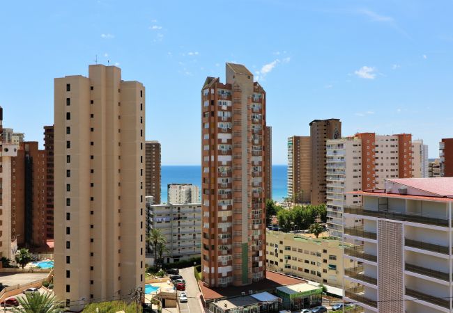 Apartamento en Benidorm - Piscis 12-2 Apartamento en Benidorm - Piscis 12-2