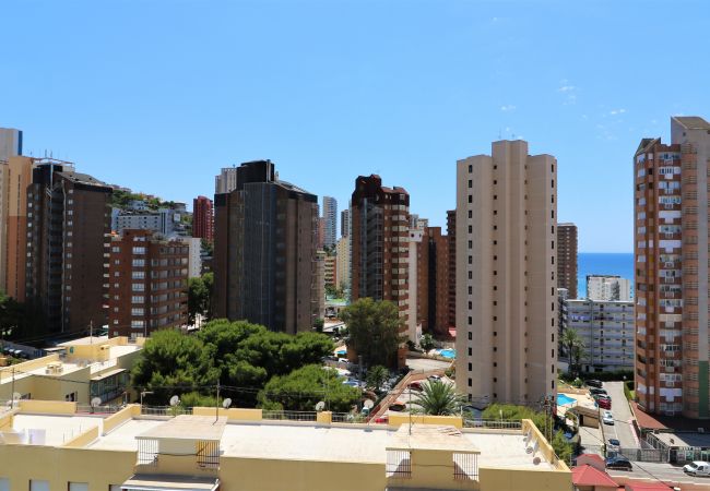 Apartamento en Benidorm - Piscis 12-2 Apartamento en Benidorm - Piscis 12-2