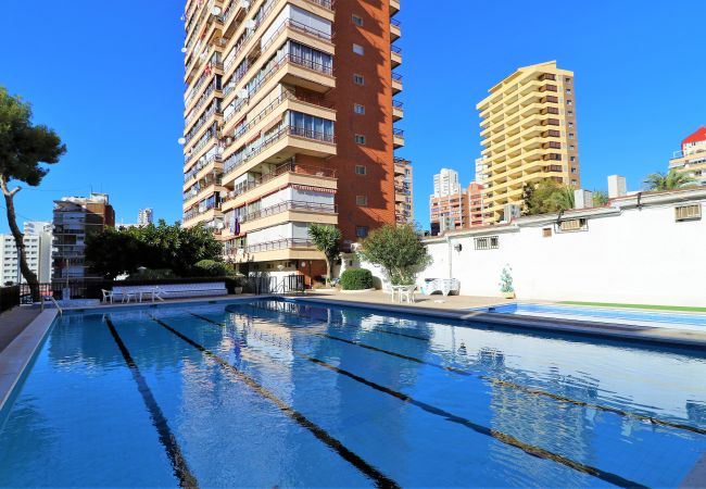 Apartamento en Benidorm - Piscis 17-2