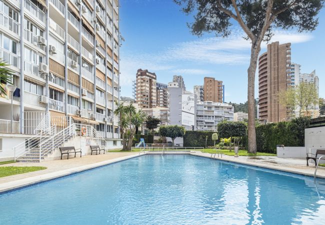 Apartamento en Benidorm - Albatros Deluxe 15-5 Apartment Levante Beach Apartamento en Benidorm - Albatros Deluxe 15-5 Apartment Levante Beach
