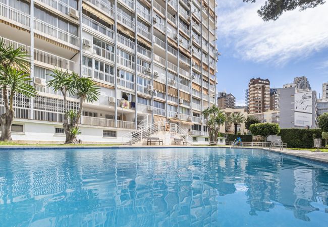 Apartamento en Benidorm - Albatros Deluxe 15-6 Apartment Levante Beach Apartamento en Benidorm - Albatros Deluxe 15-6 Apartment Levante Beach