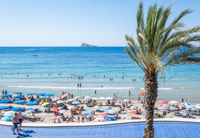 Apartamento en Benidorm - Benipark 4-2-B Poniente Beach Apartamento en Benidorm - Benipark 4-2-B Poniente Beach
