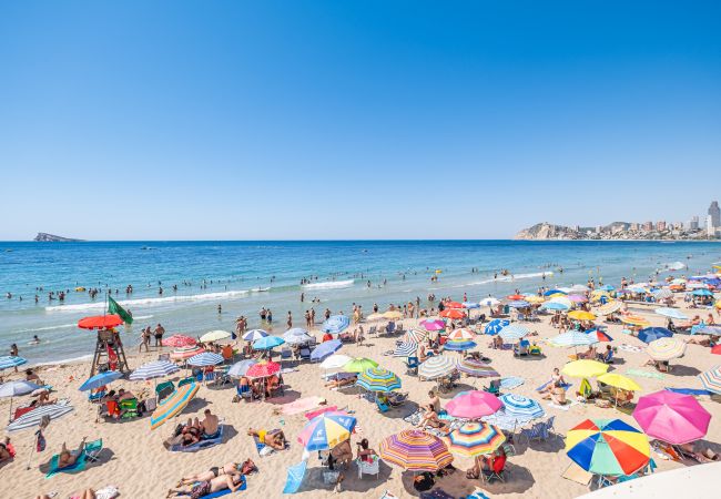 Apartamento en Benidorm - Benipark 4-2-B Poniente Beach Apartamento en Benidorm - Benipark 4-2-B Poniente Beach