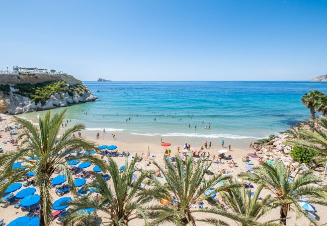 Apartahotel en Benidorm - Apartamentos La Rosita Old Town 3Pax-M15 Apartahotel en Benidorm - Apartamentos La Rosita Old Town 3Pax-M15