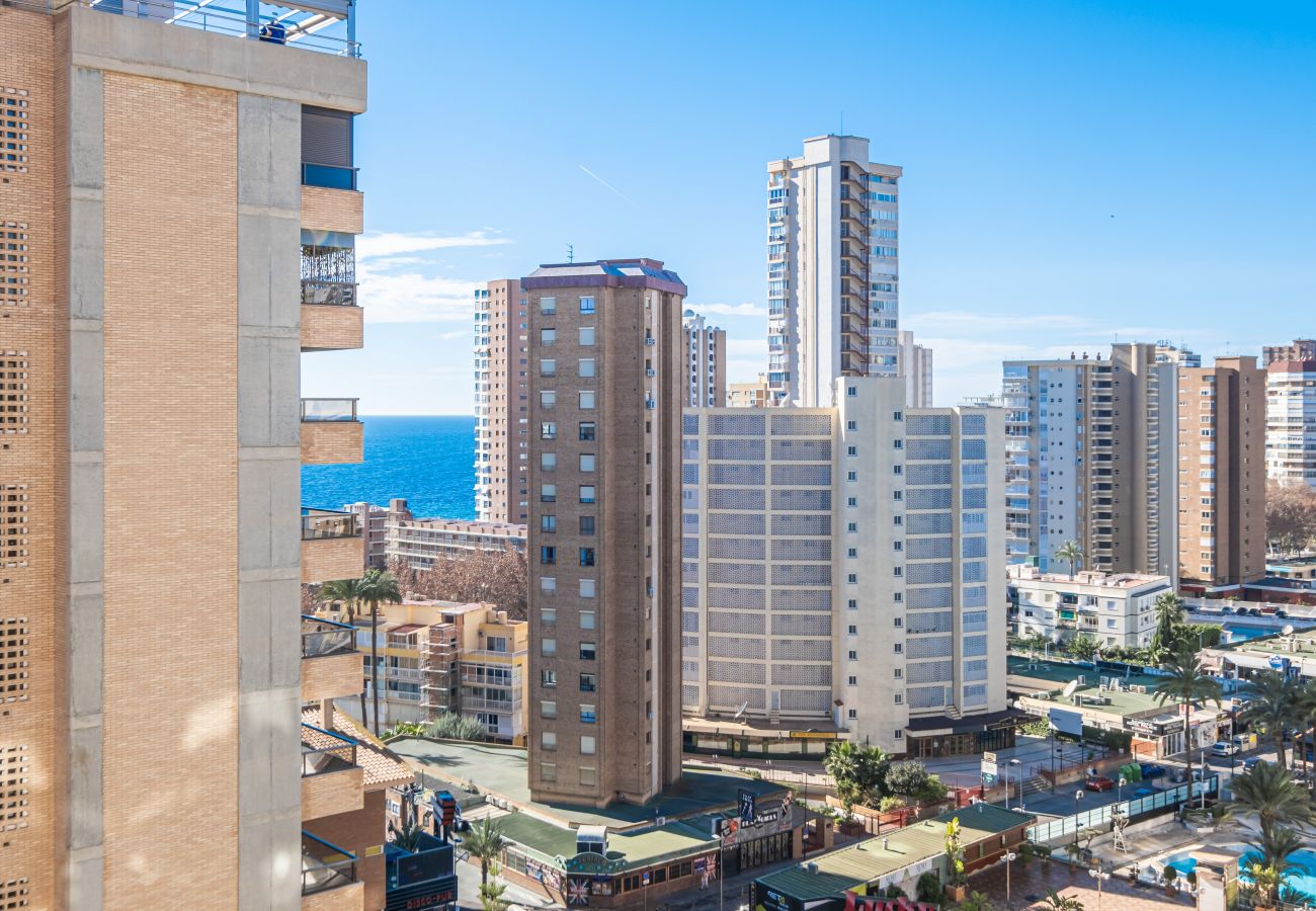 Apartamento en Benidorm - Karola Apartment 12-C Levante Beach Apartamento en Benidorm - Karola Apartment 12-C Levante Beach