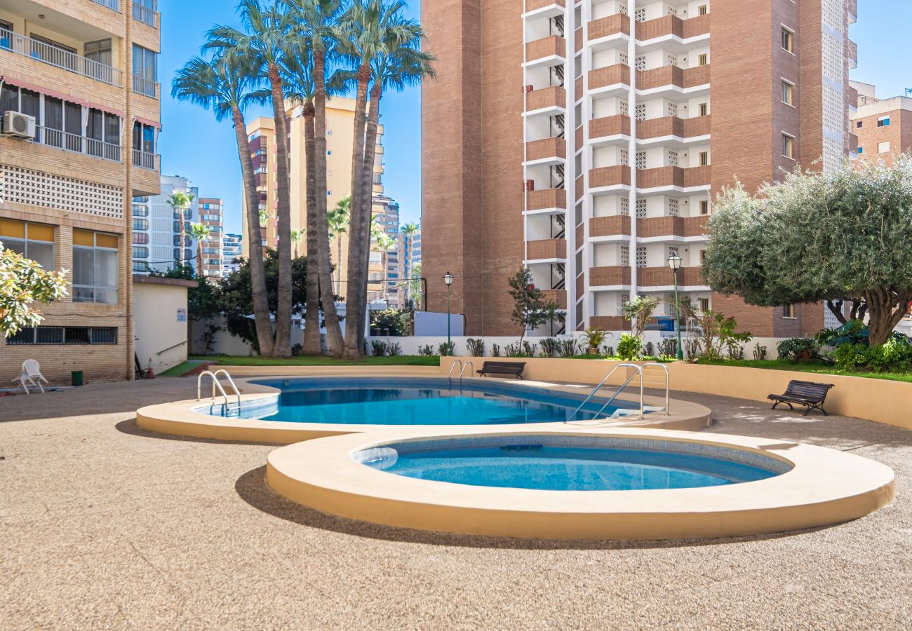 Apartamento en Benidorm - Karola Apartment 12-C Levante Beach Apartamento en Benidorm - Karola Apartment 12-C Levante Beach