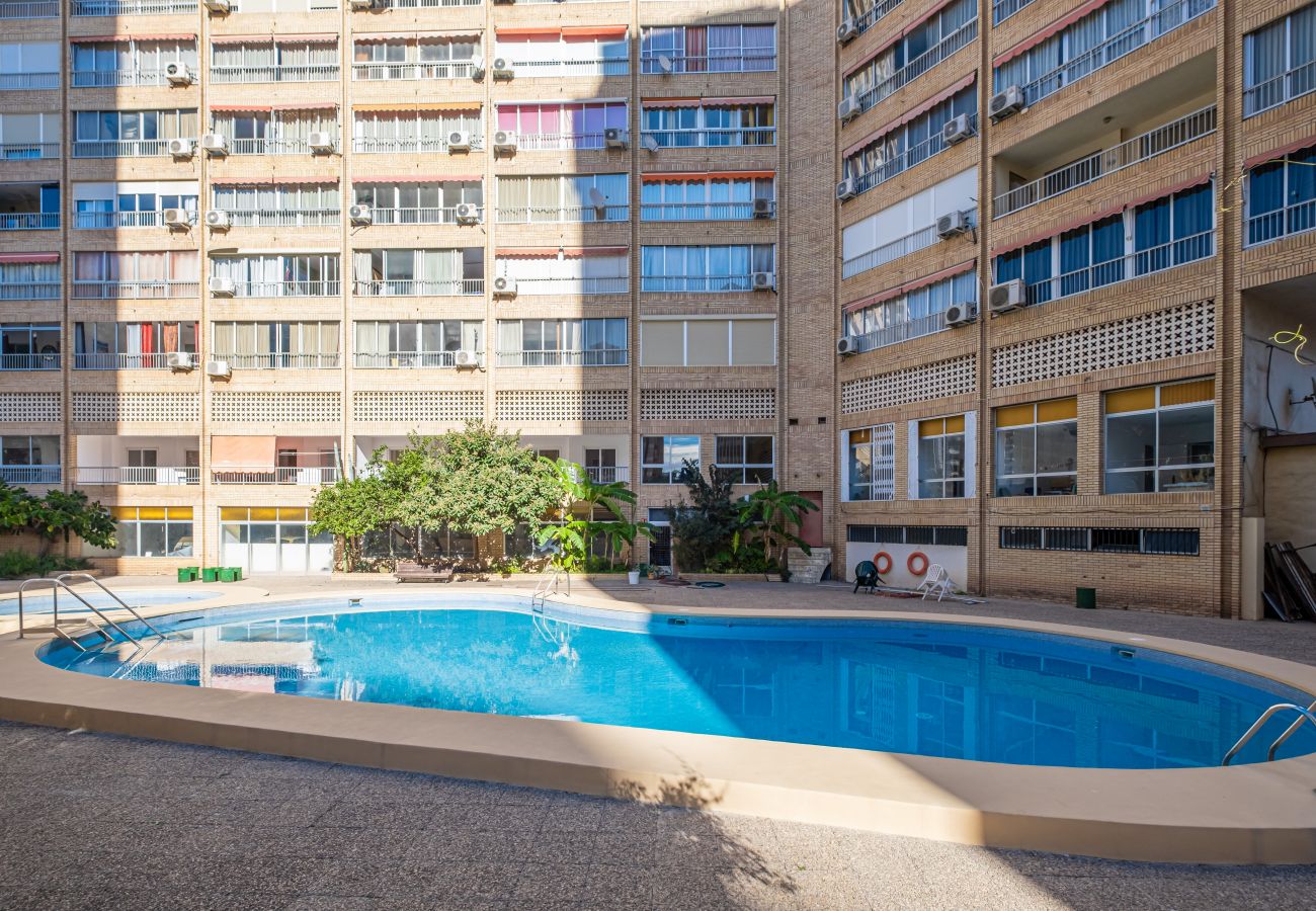 Apartamento en Benidorm - Karola Apartment 12-C Levante Beach Apartamento en Benidorm - Karola Apartment 12-C Levante Beach