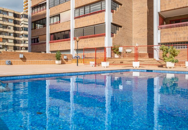 Apartamento en Benidorm - Loix Mar Apartment 1-C Levante Beach