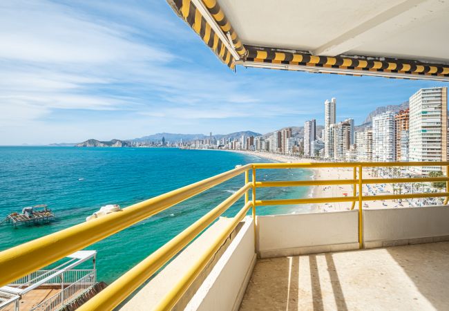Apartamento en Benidorm - Don Miguel Apartment 8-C Levante Beach Apartamento en Benidorm - Don Miguel Apartment 8-C Levante Beach