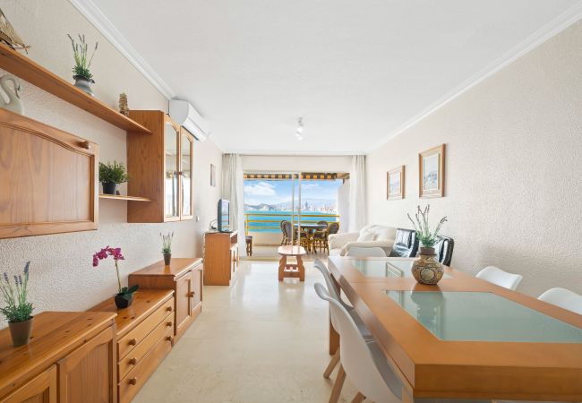 Apartamento en Benidorm - Don Miguel Apartment 8-C Levante Beach Apartamento en Benidorm - Don Miguel Apartment 8-C Levante Beach