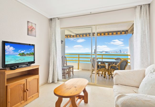 Apartamento en Benidorm - Don Miguel Apartment 8-C Levante Beach Apartamento en Benidorm - Don Miguel Apartment 8-C Levante Beach