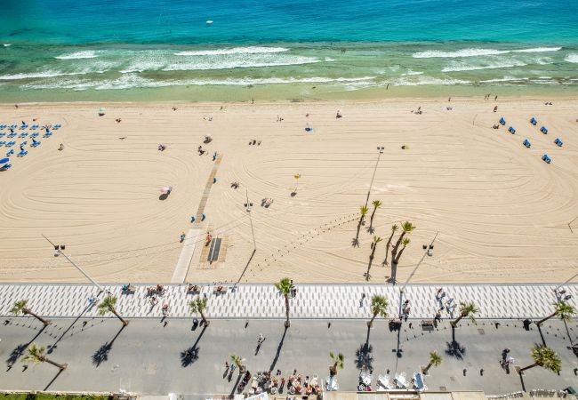 Apartamento en Benidorm - Cachirulo Deluxe Apartment 12-C Levante Beach Apartamento en Benidorm - Cachirulo Deluxe Apartment 12-C Levante Beach
