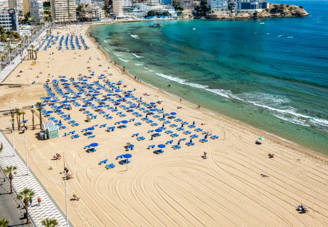 Apartamento en Benidorm - Cachirulo Deluxe Apartment 12-C Levante Beach Apartamento en Benidorm - Cachirulo Deluxe Apartment 12-C Levante Beach