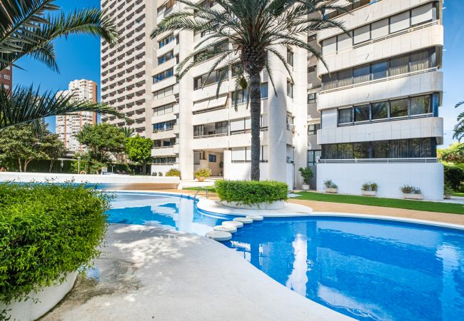 Apartamento en Benidorm - Parque Europa II 23-C Apartment Levante Area