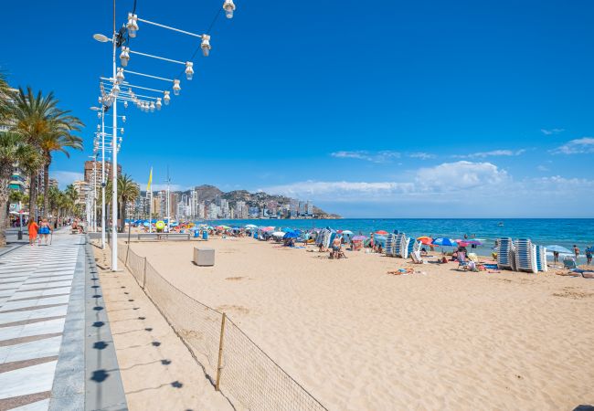 Apartamento en Benidorm - Alameda 16-3 Apartment Beach-Old Town Apartamento en Benidorm - Alameda 16-3 Apartment Beach-Old Town