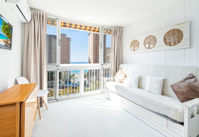 Estudio en Benidorm - Albatros 13-8 Estudio Levante Beach Estudio en Benidorm - Albatros 13-8 Estudio Levante Beach