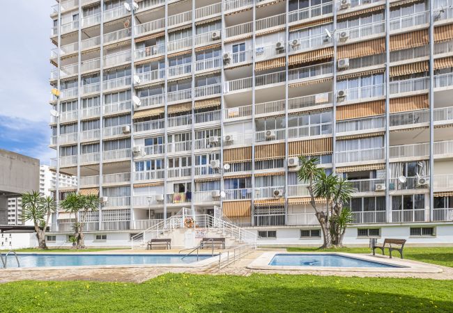 Estudio en Benidorm - Albatros 13-8 Estudio Levante Beach Estudio en Benidorm - Albatros 13-8 Estudio Levante Beach