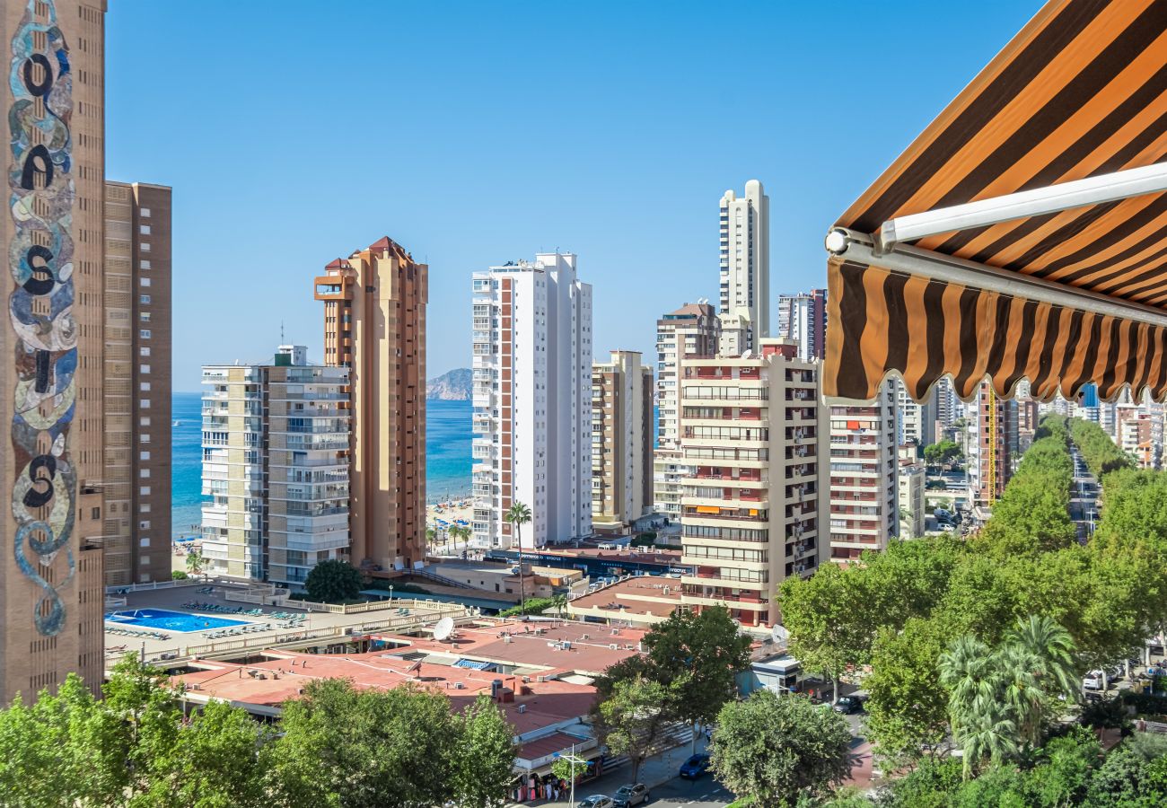 Estudio en Benidorm - Albatros 13-8 Estudio Levante Beach Estudio en Benidorm - Albatros 13-8 Estudio Levante Beach