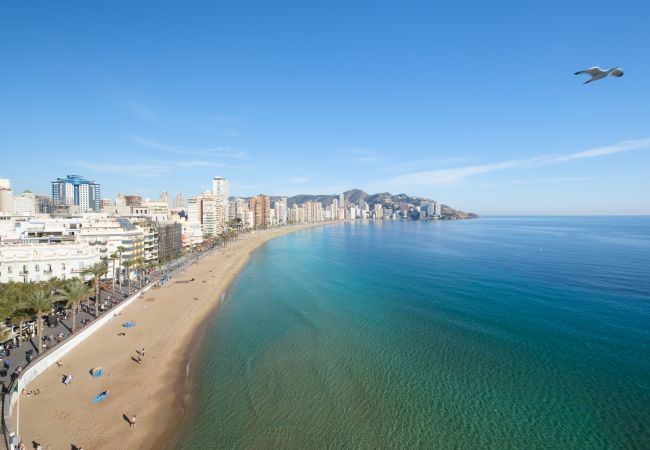 Apartamento en Benidorm - Lux Center 5-C Deluxe Beach Apartment-Old Town Apartamento en Benidorm - Lux Center 5-C Deluxe Beach Apartment-Old Town