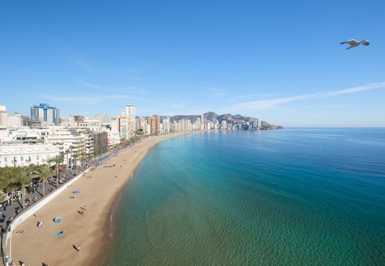 Apartamento en Benidorm - Lux Center 5-C Deluxe Beach Apartment-Old Town Apartamento en Benidorm - Lux Center 5-C Deluxe Beach Apartment-Old Town