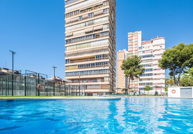 Apartamento en Benidorm - Benipark 3-2-A Poniente Beach