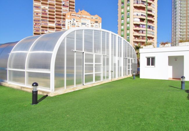 Apartamento en Benidorm - Gemelos 26 Resort Apartment 26-K Levante Beach Apartamento en Benidorm - Gemelos 26 Resort Apartment 26-K Levante Beach