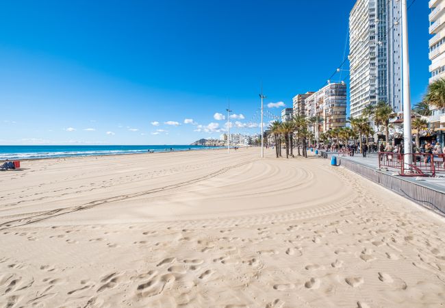 Apartahotel en Benidorm - Apartamentos Les Dunes Centro Levante Beach S.V51 Apartahotel en Benidorm - Apartamentos Les Dunes Centro Levante Beach S.V51