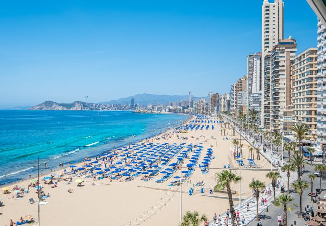 Apartamento en Benidorm - Torre Principado 5-E Apartment Levante Beach Apartamento en Benidorm - Torre Principado 5-E Apartment Levante Beach