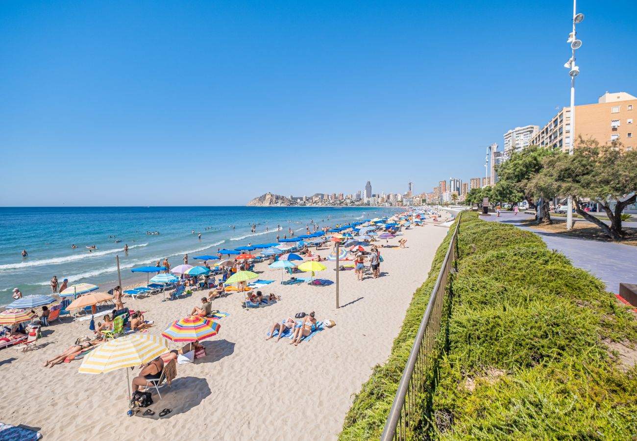 Apartamento en Benidorm - Benipark 3-1-A Poniente Beach Apartamento en Benidorm - Benipark 3-1-A Poniente Beach