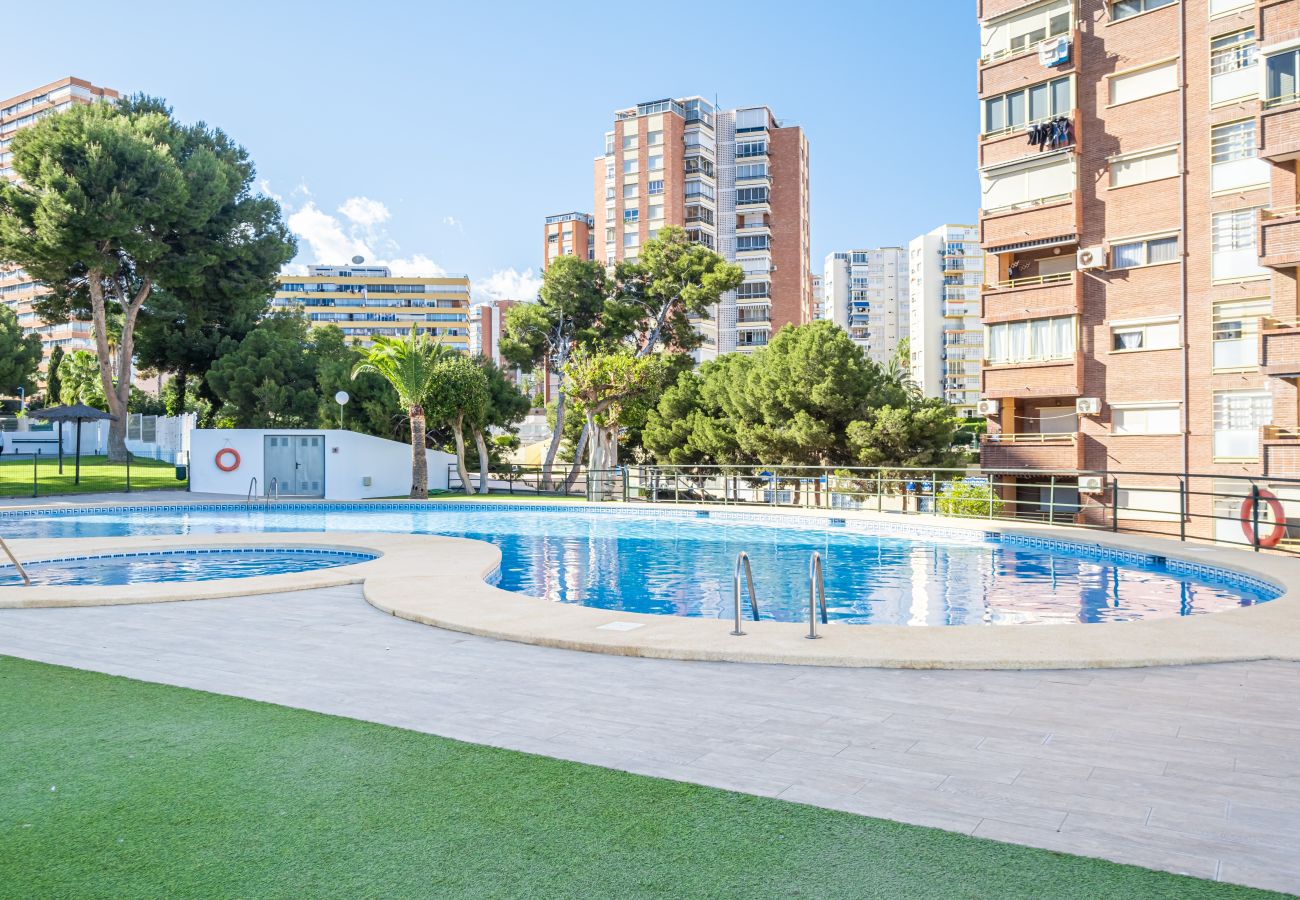 Apartamento en Benidorm - Benipark 3-1-A Poniente Beach Apartamento en Benidorm - Benipark 3-1-A Poniente Beach