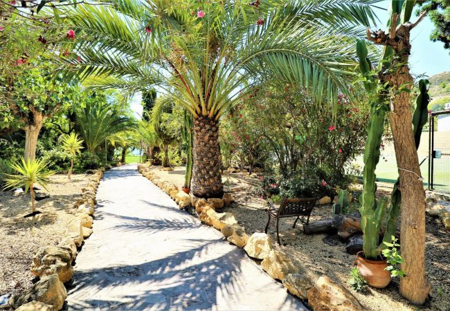 Apartamento en Villajoyosa - Eurotennis 413-2 Paradise Beach Apartment Apartamento en Villajoyosa - Eurotennis 413-2 Paradise Beach Apartment