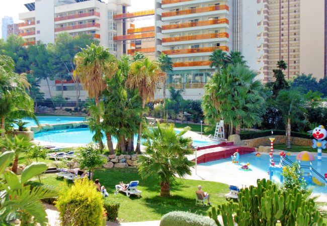 Appartement in Benidorm -  Gemelos 22 Resort Apartment 2-15-B Levante Beach Appartement in Benidorm -  Gemelos 22 Resort Apartment 2-15-B Levante Beach