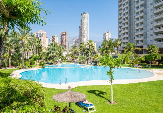 Appartement in Benidorm -  Gemelos 22 Resort Apartment 2-15-B Levante Beach Appartement in Benidorm -  Gemelos 22 Resort Apartment 2-15-B Levante Beach