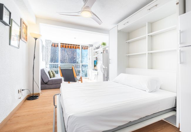 Studio in Benidorm - Albatros 2-6 Estudio Levante Beach Studio in Benidorm - Albatros 2-6 Estudio Levante Beach