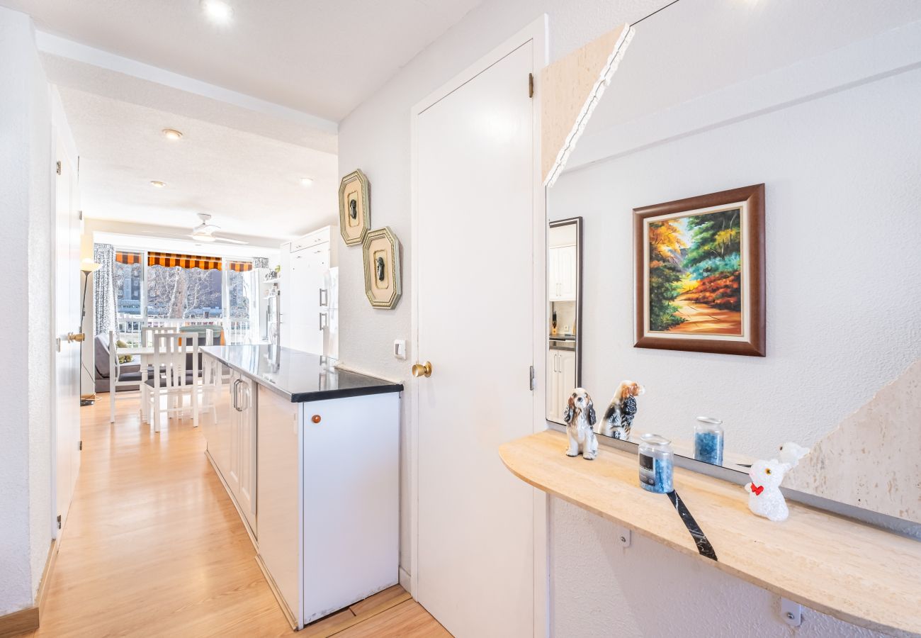 Studio in Benidorm - Albatros 2-6 Estudio Levante Beach Studio in Benidorm - Albatros 2-6 Estudio Levante Beach