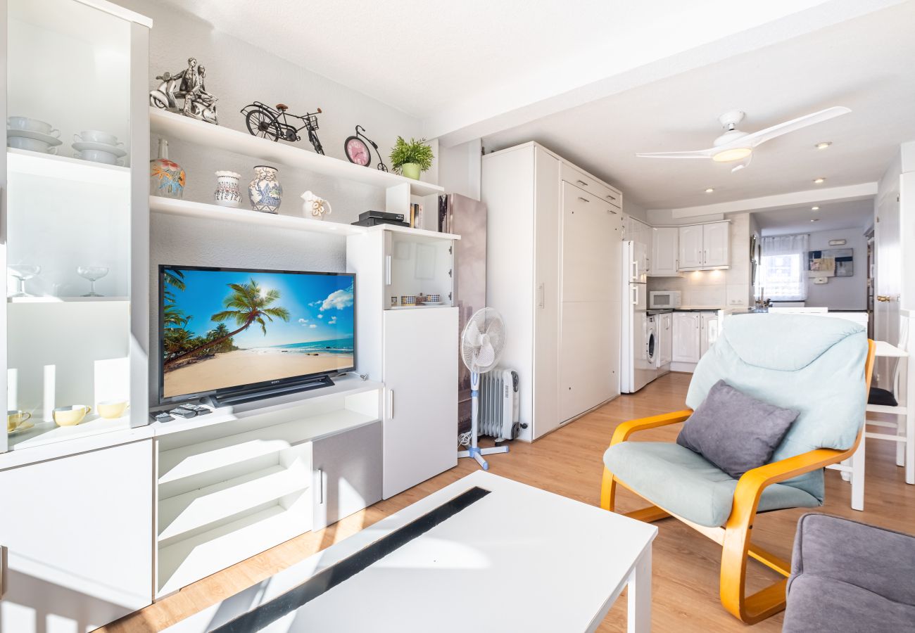 Studio in Benidorm - Albatros 2-6 Estudio Levante Beach Studio in Benidorm - Albatros 2-6 Estudio Levante Beach