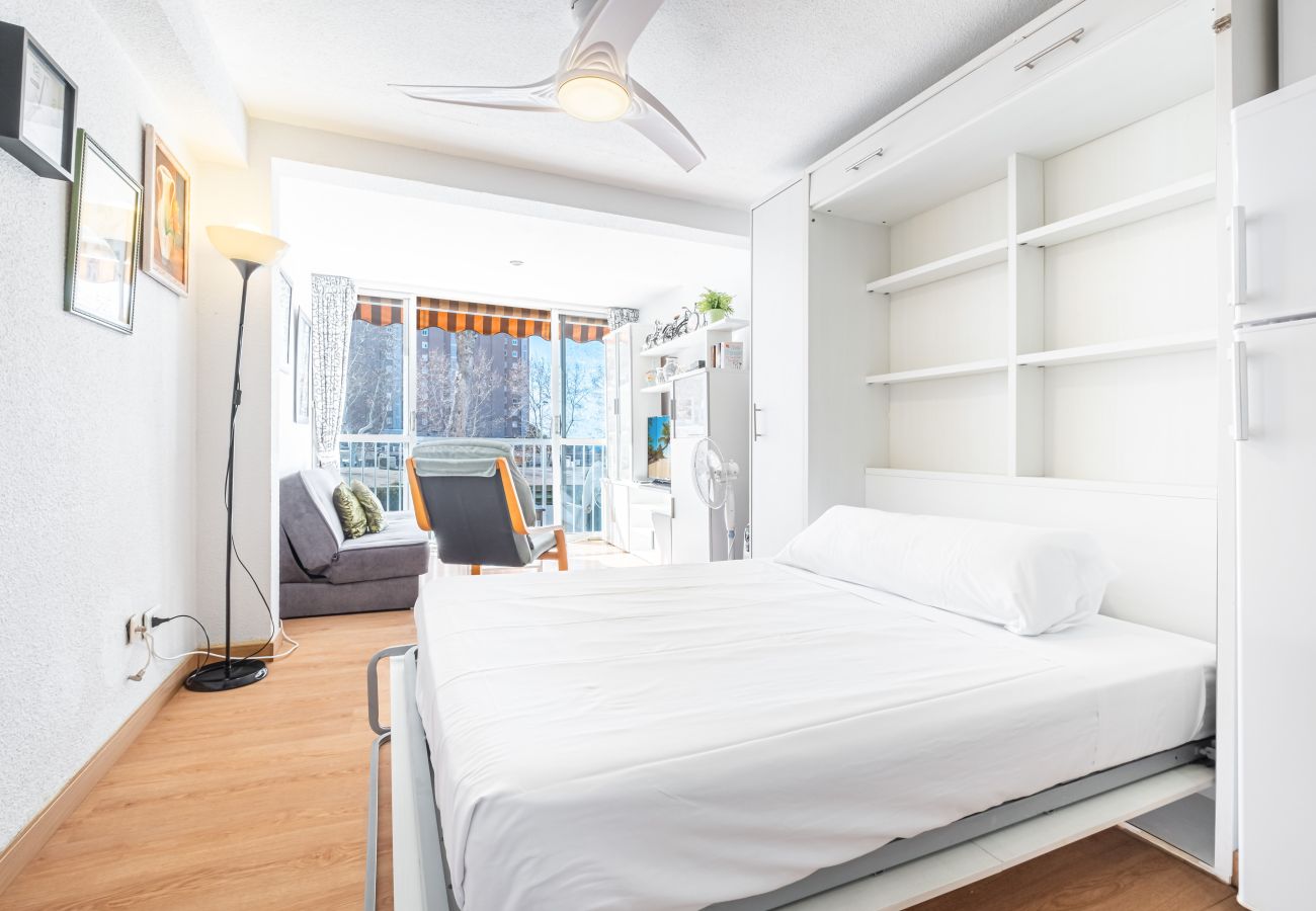 Studio in Benidorm - Albatros 2-6 Estudio Levante Beach Studio in Benidorm - Albatros 2-6 Estudio Levante Beach