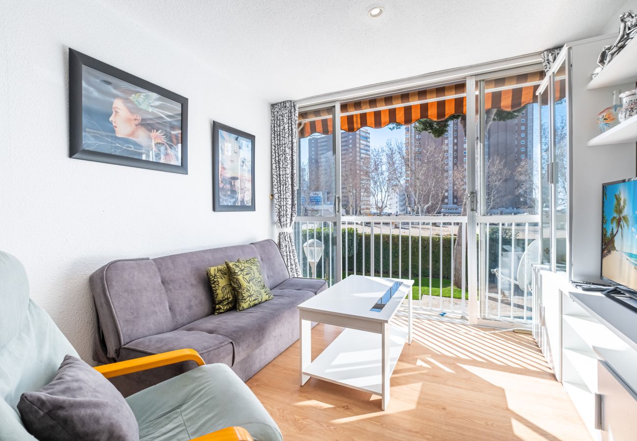 Studio in Benidorm - Albatros 2-6 Estudio Levante Beach Studio in Benidorm - Albatros 2-6 Estudio Levante Beach