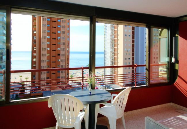 Benidorm - Appartement