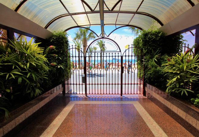 Appartement in Benidorm - Principado Arena 18-A Levante Beach Appartement in Benidorm - Principado Arena 18-A Levante Beach