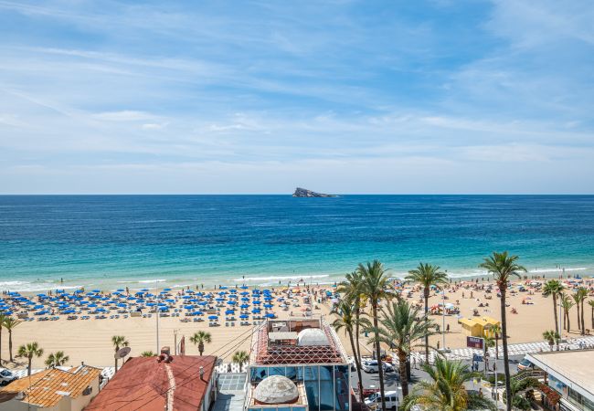 Appartement in Benidorm -  Acintur Apartment Levante Beach-Old Town Appartement in Benidorm -  Acintur Apartment Levante Beach-Old Town