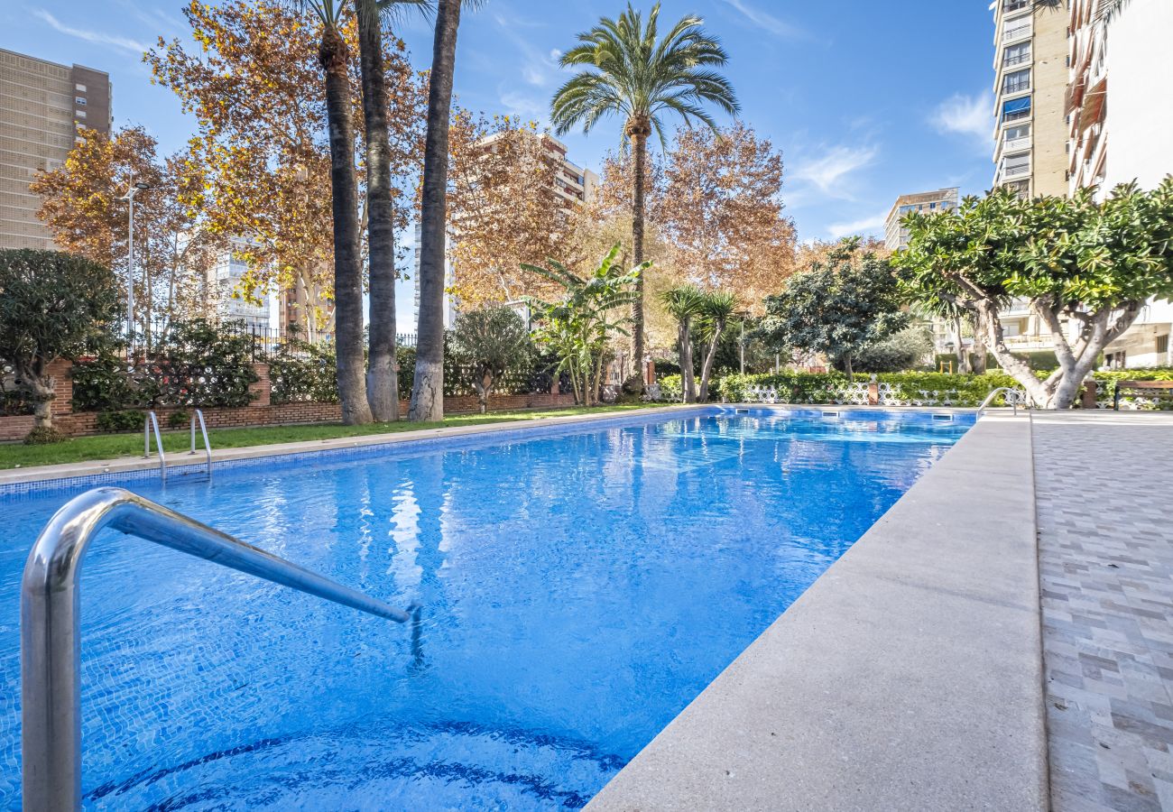 Appartement in Benidorm -  Edimar 2-3 Apartment Levante Beach