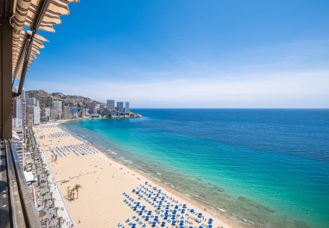 Appartement in Benidorm -  Los Gemelos 21-B Apartment Levante Beach Appartement in Benidorm -  Los Gemelos 21-B Apartment Levante Beach