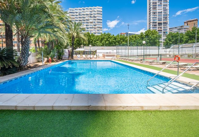 Appartement in Benidorm -  Los Gemelos 21-B Apartment Levante Beach Appartement in Benidorm -  Los Gemelos 21-B Apartment Levante Beach