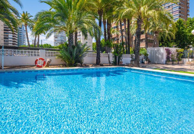 Appartement in Benidorm -  Los Gemelos 21-B Apartment Levante Beach Appartement in Benidorm -  Los Gemelos 21-B Apartment Levante Beach