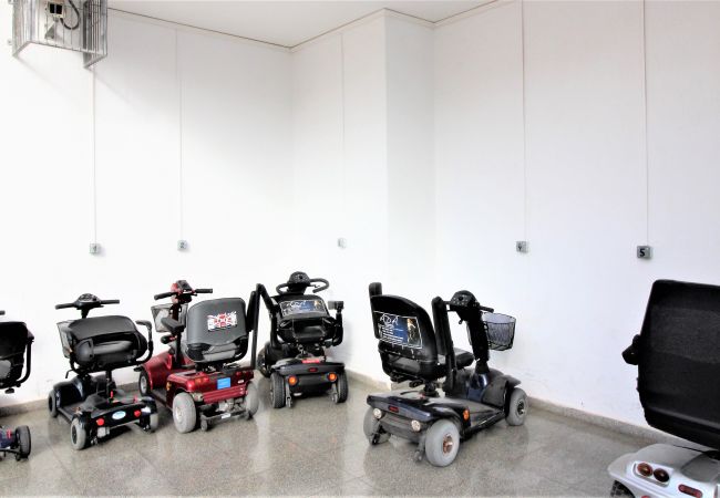 Appartement in Benidorm -  Acuarium 3-19-E Apartment Levante Beach Appartement in Benidorm -  Acuarium 3-19-E Apartment Levante Beach