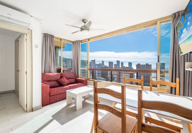 Appartement in Benidorm -  Acuarium 3-19-E Apartment Levante Beach Appartement in Benidorm -  Acuarium 3-19-E Apartment Levante Beach